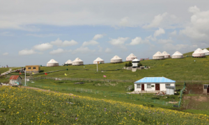 新疆龙吉锐旅游：探索新疆独特风情 全程保姆式服务引领非凡旅程